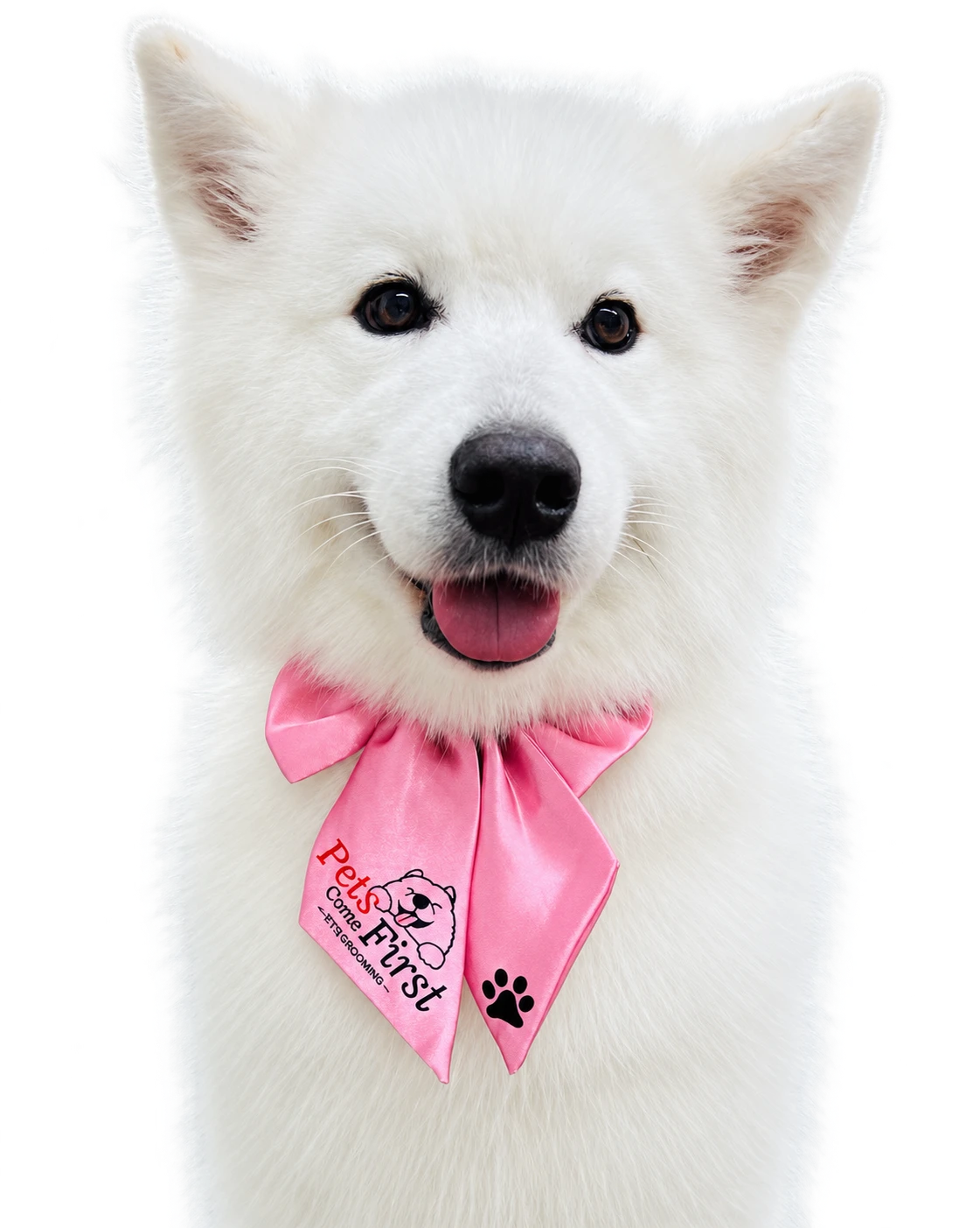 A smiling white dog in a pink Pets Come First bandana
